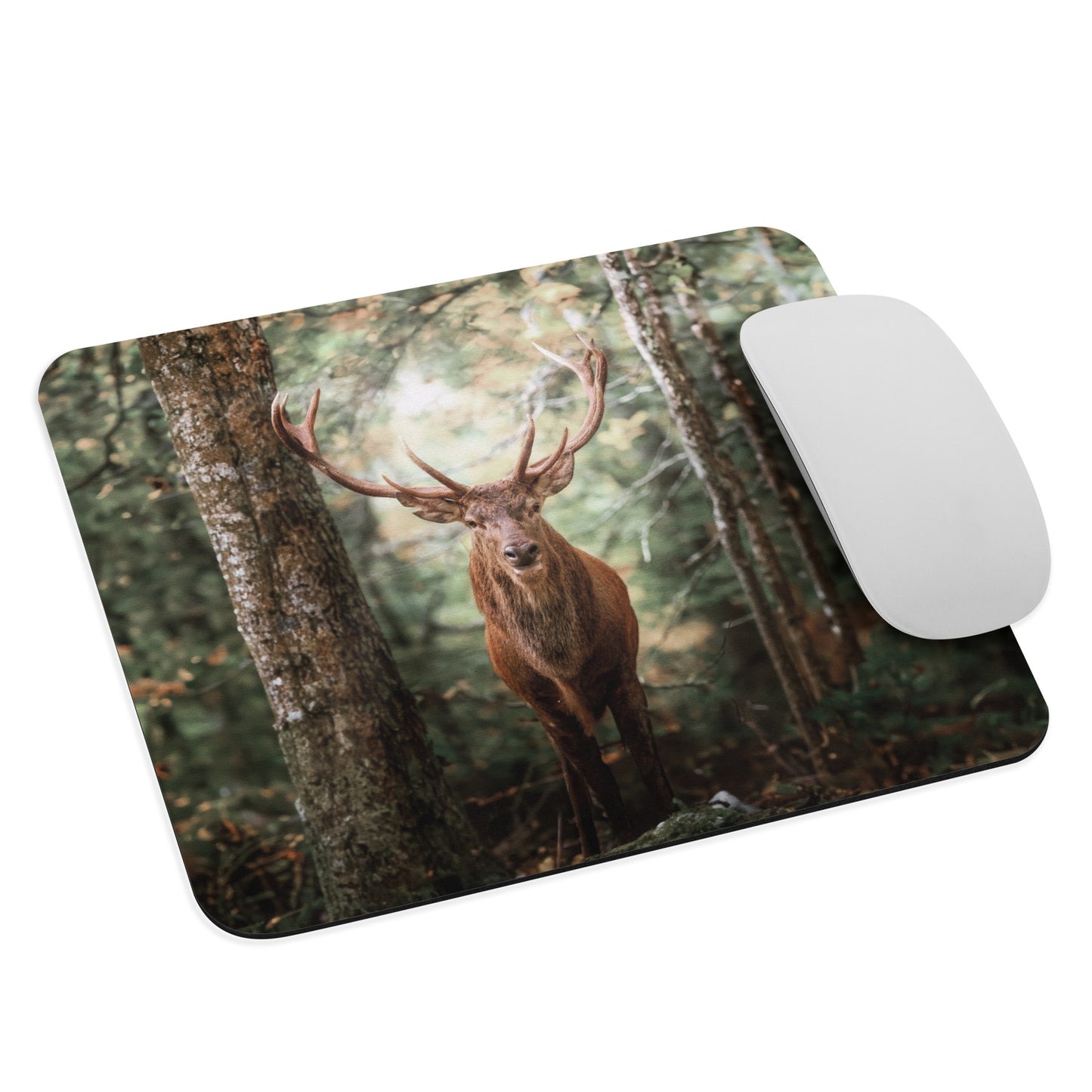 Tapis de souris